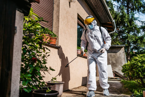 Best Flea Control Services  in Big Timber, MT