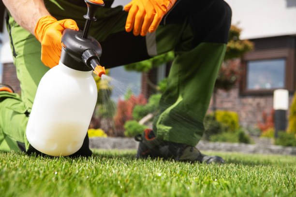 Best Commercial Pest Control Services  in Big Timber, MT