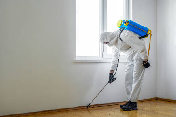 Best Insect Control  in Big Timber, MT