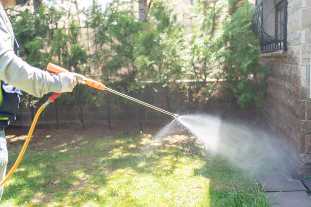 Best Ant Control Services  in Big Timber, MT