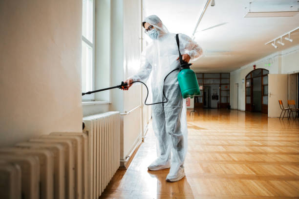 Best Local Pest Control Services  in Big Timber, MT