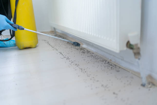 Best Best Pest Control Companies  in Big Timber, MT