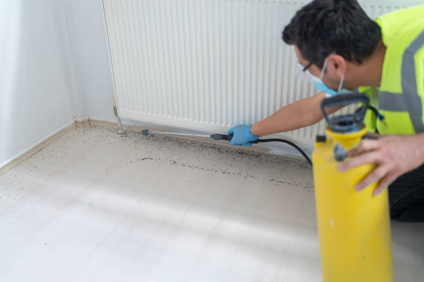 Best Local Pest Control Services  in Big Timber, MT